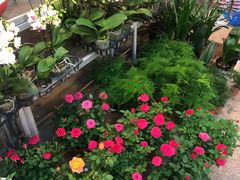 -双季花艺园艺市场(浦东店)