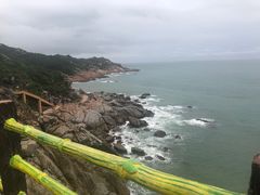 -广东惠东海龟国家级自然保护区