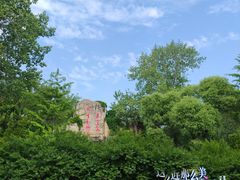 -秦皇岛野生动物园