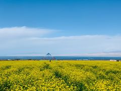 -青海湖国家重点风景名胜区