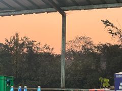 -老杨砂锅鱼庄