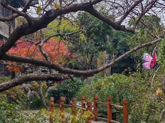 -扬州大运河文化旅游度假区·盆景园