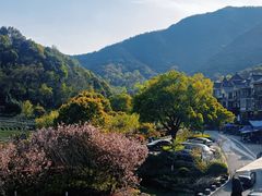 -龙坞茶村