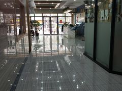 -瑞派名望志远动物医院·猫科·內科·异宠专科(直港大道店)