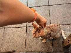 -Naughty Nuri’s Phuket