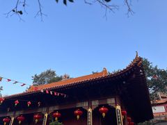 -深圳仙湖植物园
