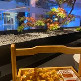 凑一个新店开业的热闹|滨湖杨家火锅