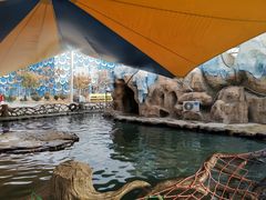-华夏文旅海洋公园