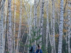 -五营红松林海景区