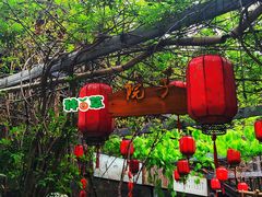 -茯茶镇