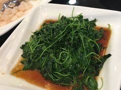 -新南华大酒店(广中店)