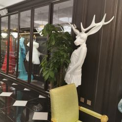-鼎极摄影(世纪金源店)