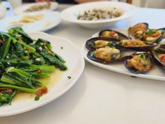 -魚當家