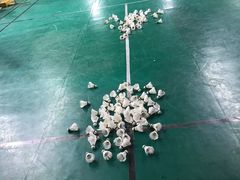 -东丽温泉羽毛球