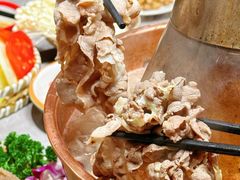 -兰州陈记牛肉面 ·烧烤· 铜锅涮肉(万达店)