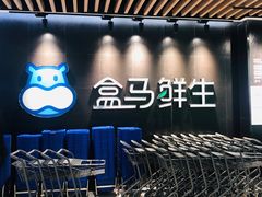 -盒马鲜生(曜一城店)
