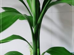 -要德火锅(鼓楼店)