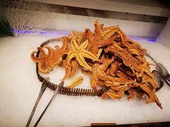 -圣罗巴甄选自助(麦凯乐店)