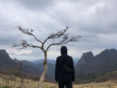 -秦岭风景区