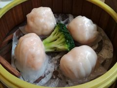 -粤港餐厅(禹州商业广场店)