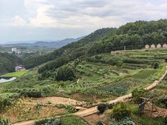 -乌石村