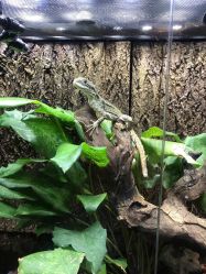 -酷嗒动物文化乐园(cutezoo西溪乐天城店)