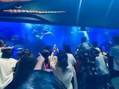-江和美海洋公园