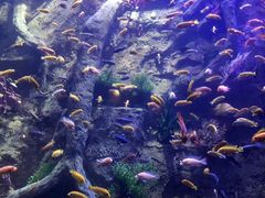 -杭州开元森泊度假乐园