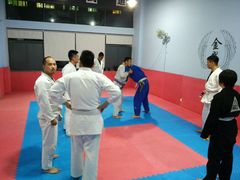 android_upload_pic-金翼跆拳道巴西柔术拳击格斗学院