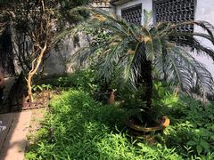 -朱家花园