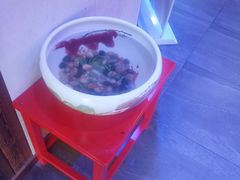 -挂雪铁锅炖大鹅