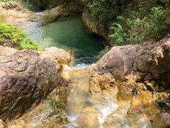 -南海湾森林生态园
