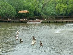 -溱湖国家湿地公园