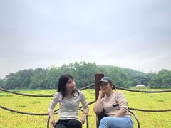 -南宁良凤江国家森林公园