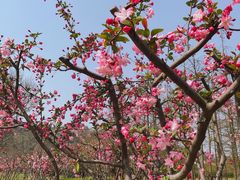 -上方山森林动物世界