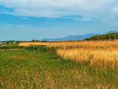 -野鸭湖国家湿地公园