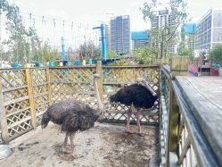 -三分地生态园·儿童乐园