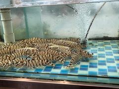-明珠海港大酒店