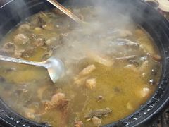 -蘑统田下·野生菌火锅