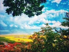 -帽儿山国家森林公园