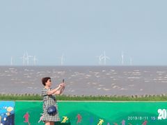 -南汇嘴观海公园