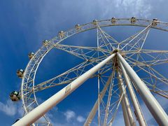 -墨尔本之星 观景摩天轮