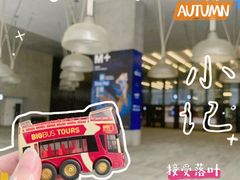 -Big Bus Tours 敞篷观光巴士