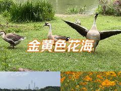 -海珠湖公园