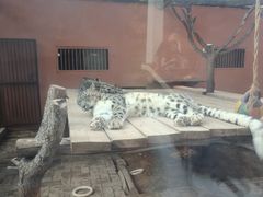 -青藏高原野生动物园