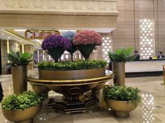-东方印象大酒楼(拱北店)