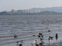 -深圳湾公园(南山区)