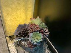 -锦城印象火锅(天府三街店)