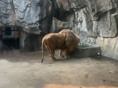 -南昌动物园