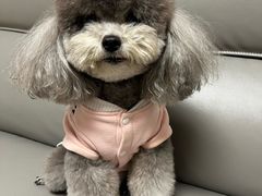 -帕帕拉兹宠物(亚洲旗舰店)